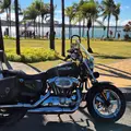 HARLEY-DAVIDSON SPORTSTER 1200 XL CUSTOM HARLEY-DAVIDSON SPORTSTER 1200 XL CUSTOM