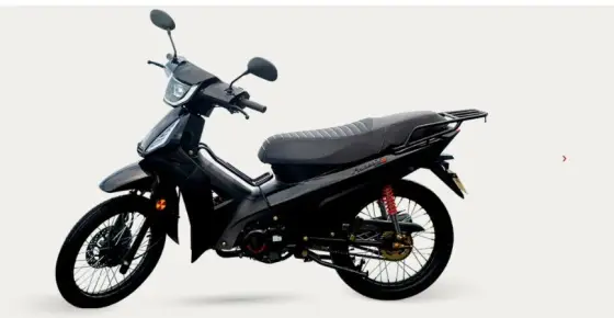 SHINERAY PHOENIX S 50 