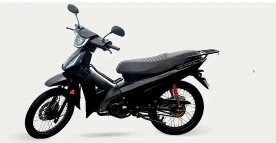 SHINERAY-PHOENIX S 50 SHINERAY-PHOENIX S 50-2025