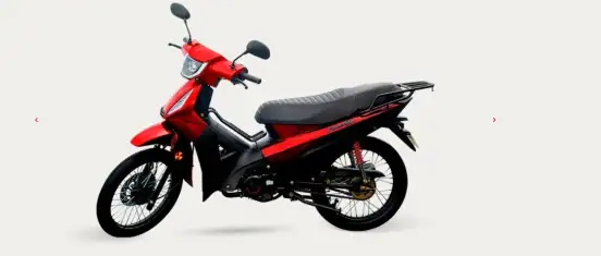 SHINERAY-PHOENIX S 50 SHINERAY-PHOENIX S 50-2025