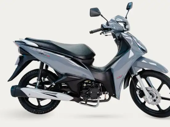 SHINERAY-RIO 125 SHINERAY-RIO 125-2025