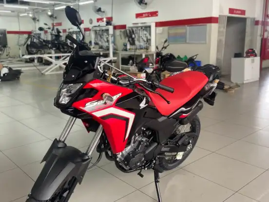 HONDA-XRE 300 RALLY HONDA-XRE 300 RALLY-2024