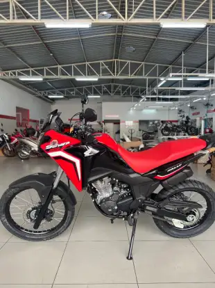 HONDA-XRE 300 RALLY-2024