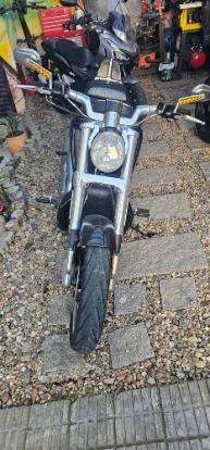 HARLEY-DAVIDSON-V-ROD MUSCLE HARLEY-DAVIDSON-V-ROD MUSCLE-2013