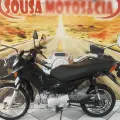 HONDA POP 100 HONDA POP 100
