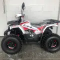 SHINERAY ATV 125 SHINERAY ATV 125