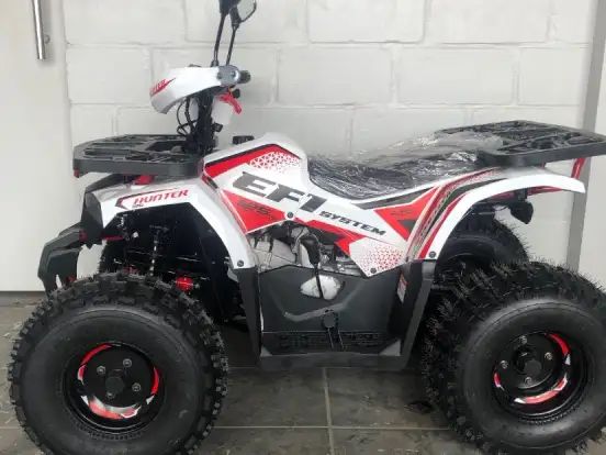 SHINERAY-ATV 125 SHINERAY-ATV 125-2024
