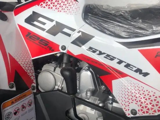 SHINERAY-ATV 125 SHINERAY-ATV 125-2024