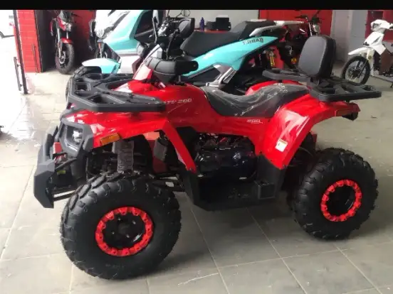 SHINERAY-ATV 200 SHINERAY-ATV 200-2025