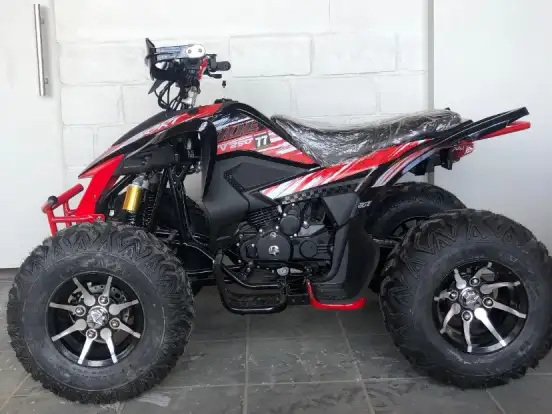SHINERAY-ATV 250 SHINERAY-ATV 250-2025