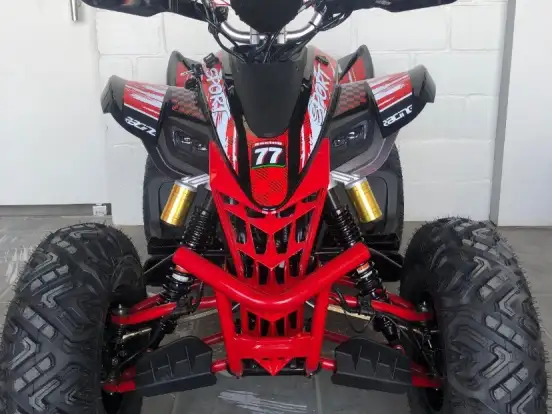 SHINERAY-ATV 250 SHINERAY-ATV 250-2025