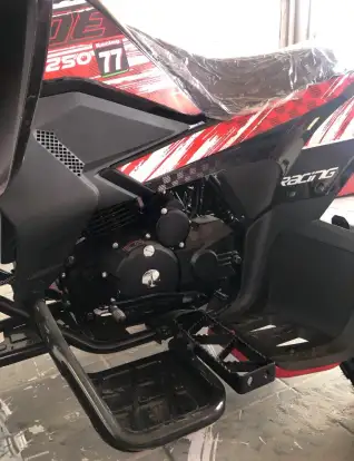 SHINERAY-ATV 250-2025