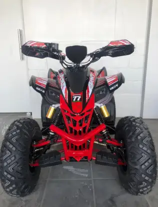 SHINERAY-ATV 250-2025