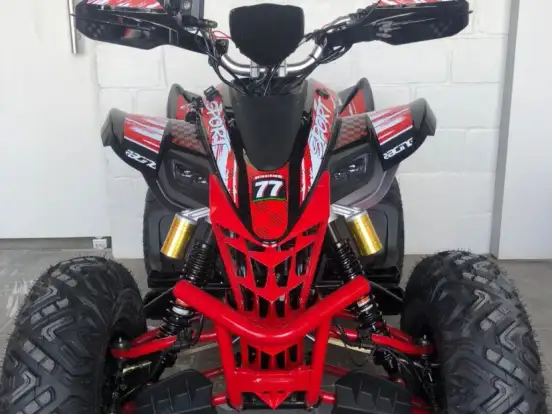 SHINERAY-ATV 250 SHINERAY-ATV 250-2025