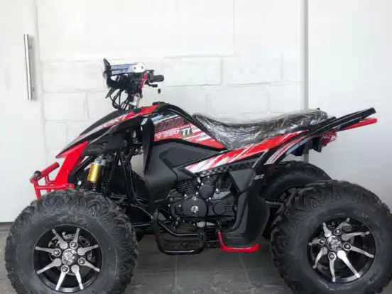 SHINERAY-ATV 250 SHINERAY-ATV 250-2025
