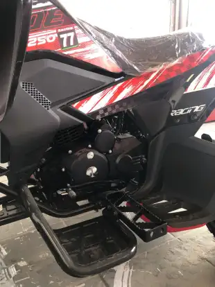 SHINERAY-ATV 250-2025