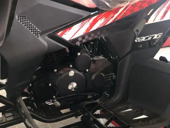 SHINERAY-ATV 250 SHINERAY-ATV 250-2025