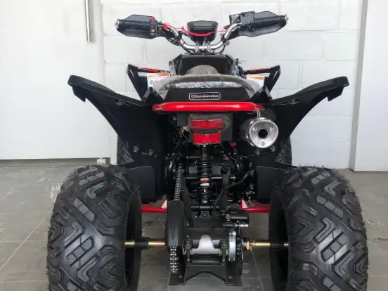 SHINERAY-ATV 250 SHINERAY-ATV 250-2025