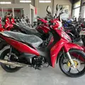 SHINERAY RIO 125 SHINERAY RIO 125