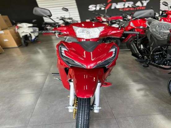 SHINERAY-RIO 125-2024