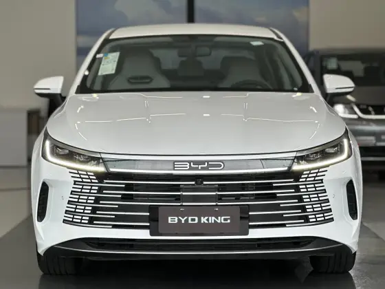 BYD KING 1.5 DM-I PHEV GS AUTOMÁTICO