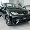 BYD DOLPHIN 44,9 KW ELÉTRICO GS BYD DOLPHIN 44,9 KW ELÉTRICO GS