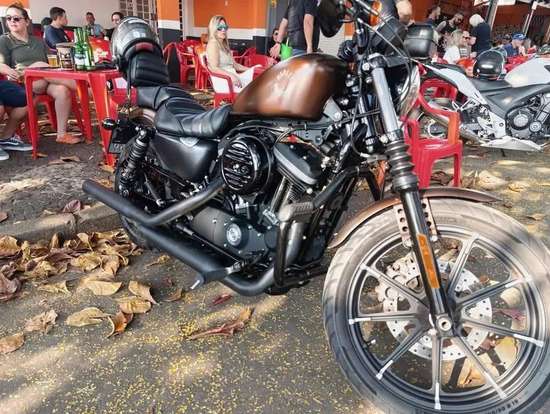 HARLEY-DAVIDSON-SPORTSTER IRON 883-2019