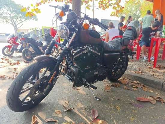 HARLEY-DAVIDSON-SPORTSTER IRON 883-2019