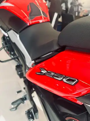 BAJAJ-DOMINAR 250-2024