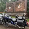 SUZUKI BOULEVARD C1500 SUZUKI BOULEVARD C1500