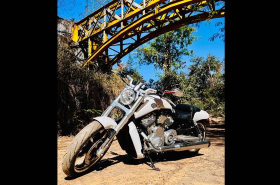 HARLEY-DAVIDSON V-ROD MUSCLE 