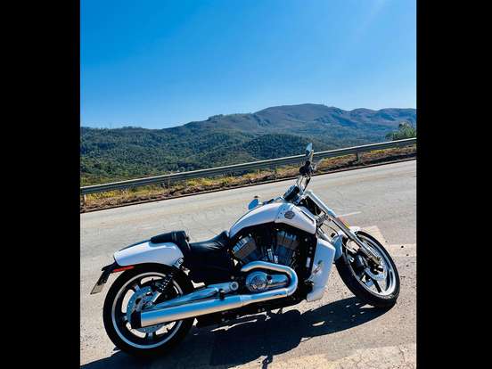 HARLEY-DAVIDSON-V-ROD MUSCLE HARLEY-DAVIDSON-V-ROD MUSCLE-2011