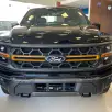 FORD F-150 5.0 V8 GASOLINA CD TREMOR FX4 AUTOMÁTICO FORD F-150 5.0 V8 GASOLINA CD TREMOR FX4 AUTOMÁTICO