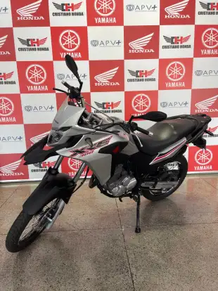 HONDA-XRE 300 ADVENTURE-2019