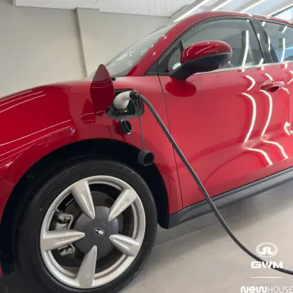 GWM ORA 03 48 KW ELÉTRICO SKIN BEV48