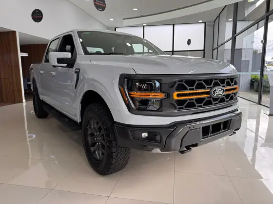 FORD F-150 5.0 V8 GASOLINA CD TREMOR FX4 AUTOMÁTICO
