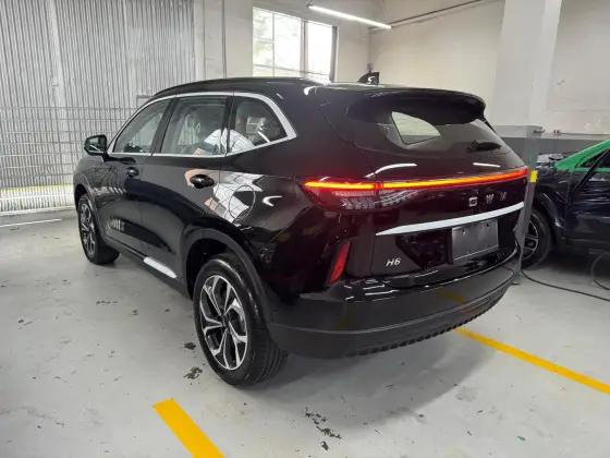 GWM HAVAL H6 1.5 PHEV34 AWD E-TRACTION GWM HAVAL H6 1.5 PHEV34 AWD E-TRACTION
