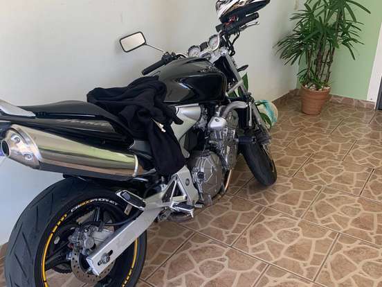 HONDA-CB 600F HORNET HONDA-CB 600F HORNET-2005