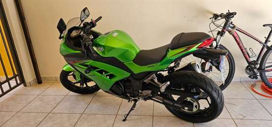 KAWASAKI-NINJA 300-2024