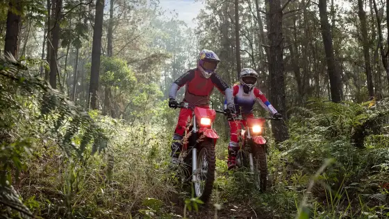 HONDA CRF 300F HONDA CRF 300F
