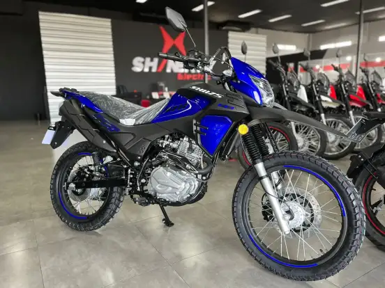 SHINERAY-SHI 175-2024