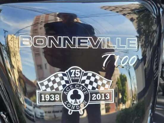 TRIUMPH-BONNEVILLE T 100 865 TRIUMPH-BONNEVILLE T 100 865-2014