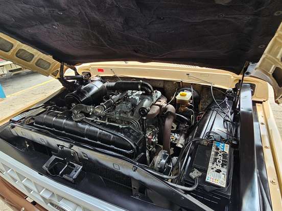 FORD-F-1000-3.9 SUPER SÉRIE CS 8V DIESEL 2P MANUAL FORD-F-1000-1989