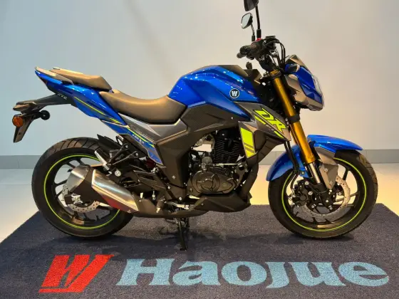 HAOJUE DR 160 S 