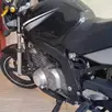 SUZUKI GS500E SUZUKI GS500E
