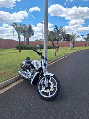 HARLEY-DAVIDSON V-ROD MUSCLE 