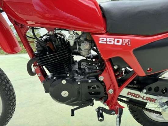 HONDA-XL 250R-1983