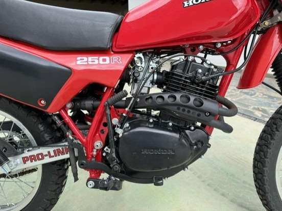 HONDA-XL 250R HONDA-XL 250R-1983