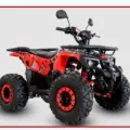 SHINERAY ATV 125 SHINERAY ATV 125