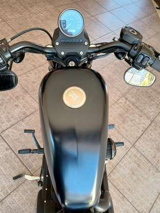 HARLEY-DAVIDSON-SPORTSTER XL 883N IRON-2011